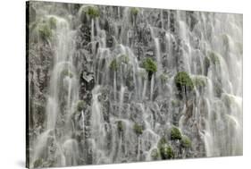 Waterfall close-up, Columbia River Gorge, Oregon-Adam Jones-Stretched Canvas