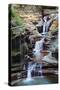 Waterfall Closeup in Woods with Rocks and Stream in Watkins Glen State Park in New York State-Songquan Deng-Stretched Canvas