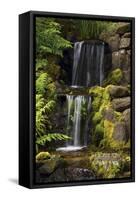 Waterfall, Crystal Springs Rhododendron Garden, Portland, Oregon, USA-Michel Hersen-Framed Stretched Canvas