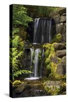 Waterfall, Crystal Springs Rhododendron Garden, Portland, Oregon, USA-Michel Hersen-Stretched Canvas