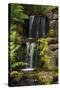 Waterfall, Crystal Springs Rhododendron Garden, Portland, Oregon, USA-Michel Hersen-Stretched Canvas