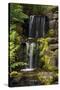 Waterfall, Crystal Springs Rhododendron Garden, Portland, Oregon, USA-Michel Hersen-Stretched Canvas