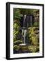 Waterfall, Crystal Springs Rhododendron Garden, Portland, Oregon, USA-Michel Hersen-Framed Photographic Print