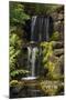 Waterfall, Crystal Springs Rhododendron Garden, Portland, Oregon, USA-Michel Hersen-Mounted Photographic Print