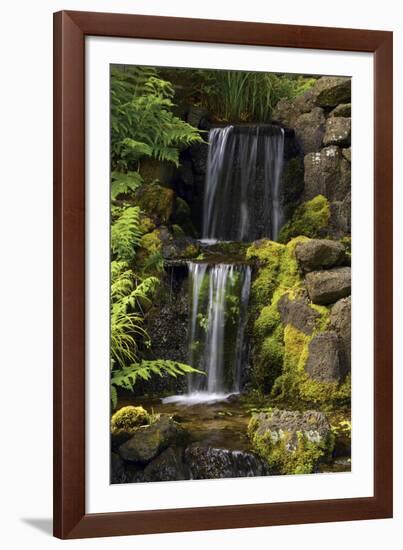 Waterfall, Crystal Springs Rhododendron Garden, Portland, Oregon, USA-Michel Hersen-Framed Photographic Print