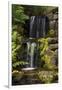 Waterfall, Crystal Springs Rhododendron Garden, Portland, Oregon, USA-Michel Hersen-Framed Photographic Print