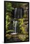 Waterfall, Crystal Springs Rhododendron Garden, Portland, Oregon, USA-Michel Hersen-Framed Photographic Print