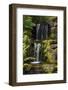 Waterfall, Crystal Springs Rhododendron Garden, Portland, Oregon, USA-Michel Hersen-Framed Photographic Print