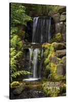 Waterfall, Crystal Springs Rhododendron Garden, Portland, Oregon, USA-Michel Hersen-Stretched Canvas