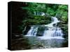 Waterfall, Dingman's Creek-null-Stretched Canvas