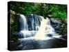 Waterfall, Dingman's Creek-null-Stretched Canvas