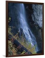 Waterfall Down Rock Face, Fairy Falls, Yellowstone National Park, Wyoming, USA-Scott T. Smith-Framed Photographic Print