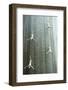 Waterfall, Dubai Mall, Dubai, United Arab Emirates, Middle East-Amanda Hall-Framed Photographic Print