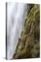 Waterfall Dynjandi, Westfjords, West Iceland-Julia Wellner-Stretched Canvas