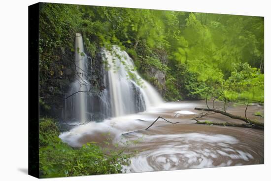 Waterfall, Fairy Glen Rspb Reserve, Inverness-Shire, Scotland, UK, May-Peter Cairns-Stretched Canvas