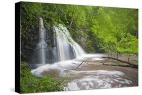 Waterfall, Fairy Glen Rspb Reserve, Inverness-Shire, Scotland, UK, May-Peter Cairns-Stretched Canvas