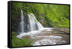 Waterfall, Fairy Glen Rspb Reserve, Inverness-Shire, Scotland, UK, May-Peter Cairns-Framed Stretched Canvas