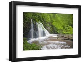 Waterfall, Fairy Glen Rspb Reserve, Inverness-Shire, Scotland, UK, May-Peter Cairns-Framed Photographic Print