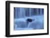 Waterfall Flow Detail, Outside Skógafoss, Waterfall Iceland-Vincent James-Framed Photographic Print