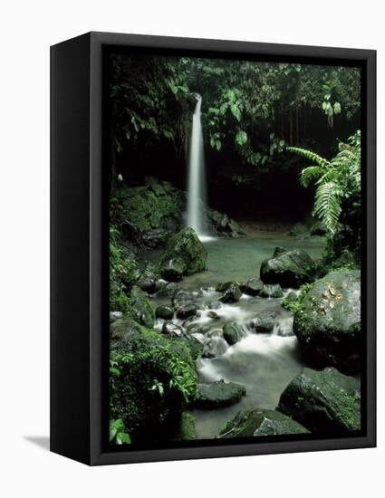 Waterfall Flowing into the Emerald Pool, Dominica, West Indies, Central America-James Gritz-Framed Stretched Canvas