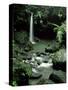 Waterfall Flowing into the Emerald Pool, Dominica, West Indies, Central America-James Gritz-Stretched Canvas