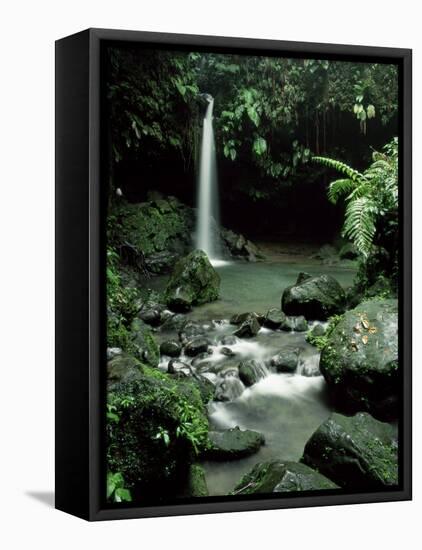 Waterfall Flowing into the Emerald Pool, Dominica, West Indies, Central America-James Gritz-Framed Stretched Canvas
