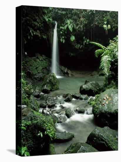 Waterfall Flowing into the Emerald Pool, Dominica, West Indies, Central America-James Gritz-Stretched Canvas