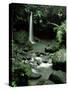 Waterfall Flowing into the Emerald Pool, Dominica, West Indies, Central America-James Gritz-Stretched Canvas