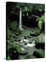 Waterfall Flowing into the Emerald Pool, Dominica, West Indies, Central America-James Gritz-Stretched Canvas