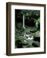 Waterfall Flowing into the Emerald Pool, Dominica, West Indies, Central America-James Gritz-Framed Photographic Print