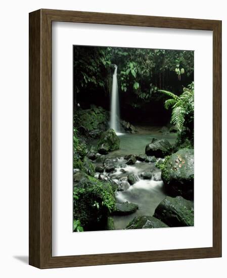 Waterfall Flowing into the Emerald Pool, Dominica, West Indies, Central America-James Gritz-Framed Photographic Print