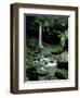 Waterfall Flowing into the Emerald Pool, Dominica, West Indies, Central America-James Gritz-Framed Photographic Print