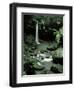 Waterfall Flowing into the Emerald Pool, Dominica, West Indies, Central America-James Gritz-Framed Photographic Print