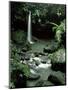 Waterfall Flowing into the Emerald Pool, Dominica, West Indies, Central America-James Gritz-Mounted Photographic Print