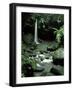 Waterfall Flowing into the Emerald Pool, Dominica, West Indies, Central America-James Gritz-Framed Photographic Print