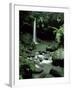 Waterfall Flowing into the Emerald Pool, Dominica, West Indies, Central America-James Gritz-Framed Photographic Print