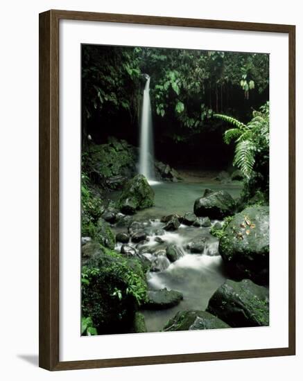 Waterfall Flowing into the Emerald Pool, Dominica, West Indies, Central America-James Gritz-Framed Photographic Print