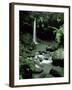 Waterfall Flowing into the Emerald Pool, Dominica, West Indies, Central America-James Gritz-Framed Photographic Print