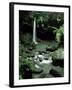 Waterfall Flowing into the Emerald Pool, Dominica, West Indies, Central America-James Gritz-Framed Photographic Print