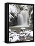 Waterfall Geroldsau in Winter, Near Baden Baden, Black Forest, Baden Wurttemberg, Germany, Europe-Marcus Lange-Framed Stretched Canvas