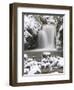 Waterfall Geroldsau in Winter, Near Baden Baden, Black Forest, Baden Wurttemberg, Germany, Europe-Marcus Lange-Framed Photographic Print