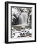 Waterfall Geroldsau in Winter, Near Baden Baden, Black Forest, Baden Wurttemberg, Germany, Europe-Marcus Lange-Framed Photographic Print