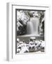 Waterfall Geroldsau in Winter, Near Baden Baden, Black Forest, Baden Wurttemberg, Germany, Europe-Marcus Lange-Framed Photographic Print