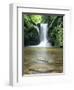 Waterfall Geroldsau, Near Baden Baden, Black Forest, Baden Wurttemberg, Germany, Europe-Marcus Lange-Framed Photographic Print