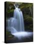 Waterfall, Glen Artney, Near Crieff, Perthshire, Scotland, United Kingdom, Europe-Jeremy Lightfoot-Stretched Canvas