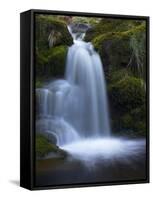 Waterfall, Glen Artney, Near Crieff, Perthshire, Scotland, United Kingdom, Europe-Jeremy Lightfoot-Framed Stretched Canvas