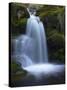 Waterfall, Glen Artney, Near Crieff, Perthshire, Scotland, United Kingdom, Europe-Jeremy Lightfoot-Stretched Canvas