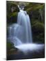 Waterfall, Glen Artney, Near Crieff, Perthshire, Scotland, United Kingdom, Europe-Jeremy Lightfoot-Mounted Photographic Print