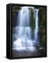 Waterfall, Glen Artney, Near Crieff, Perthshire, Scotland, United Kingdom, Europe-Jeremy Lightfoot-Framed Stretched Canvas