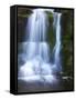 Waterfall, Glen Artney, Near Crieff, Perthshire, Scotland, United Kingdom, Europe-Jeremy Lightfoot-Framed Stretched Canvas